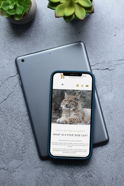 mobile-optimized website